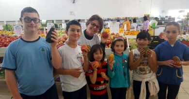 As atividades foram desenvolvidas na quarta-feira (16), no Sacolão de Frutas e Verduras onde o Instituto Social BRF deu oportunidade para que cada criança adquirisse uma fruta como forma dela aprender sobre a degustação do alimento.