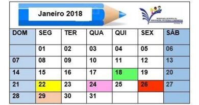 Calendário de ações para este mês de janeiro em preparação ao inicio do próximo ano letivo.