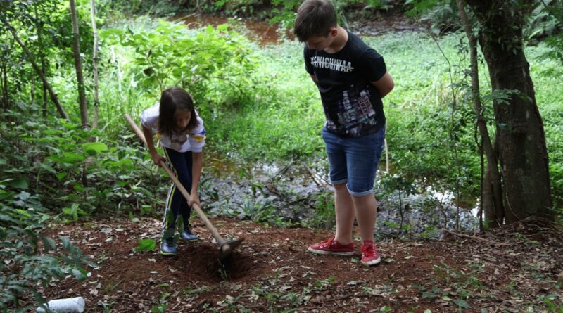 “Mais do que plantar árvores, estamos procurando plantar sementes de amor na consciência dos alunos que, quando germinadas, se transformam em atitudes de zelo, de cuidado, de preservação pelo meio ambiente”