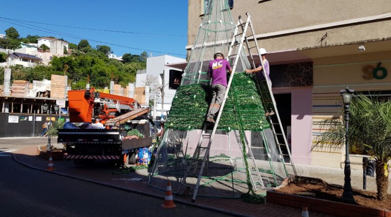 O Calçadão recebeu um pinheiro gigante.